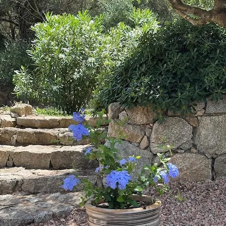 Nyaraló Patios Di Pruno Nino